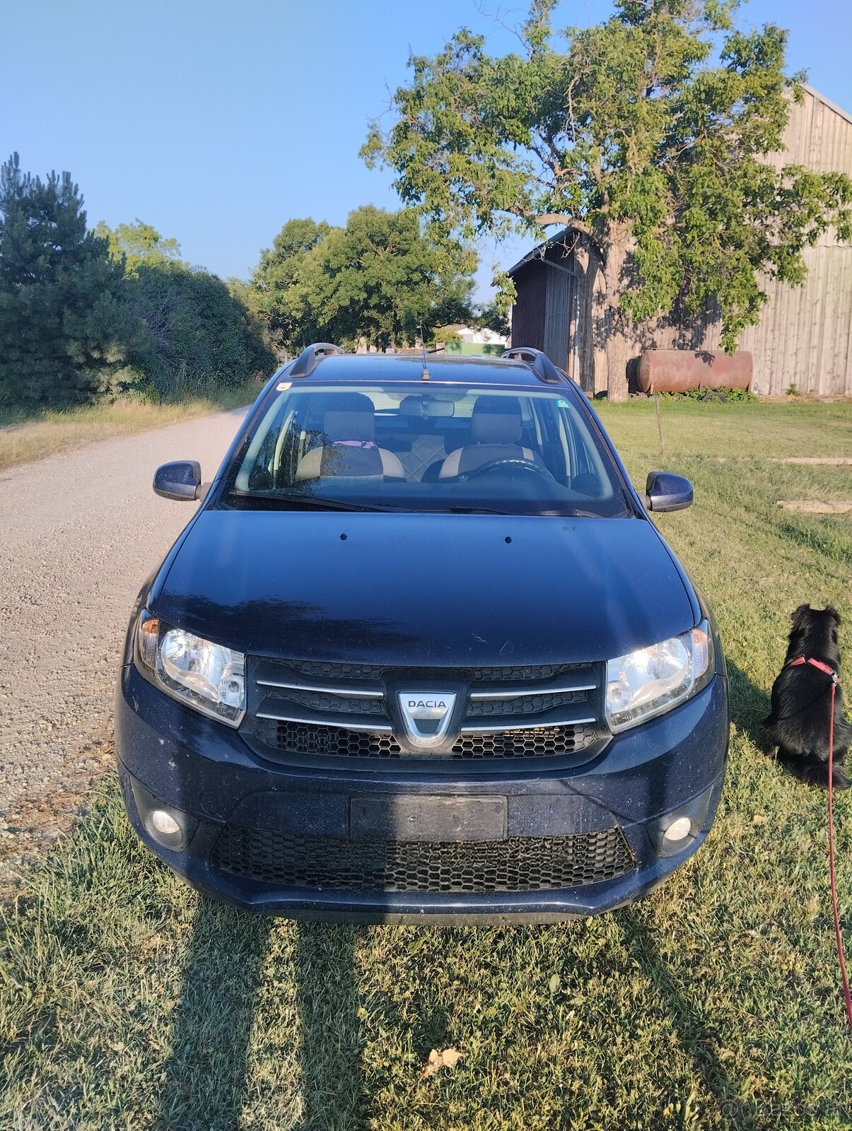 Dacia Logen MCV Kombi - Diesel