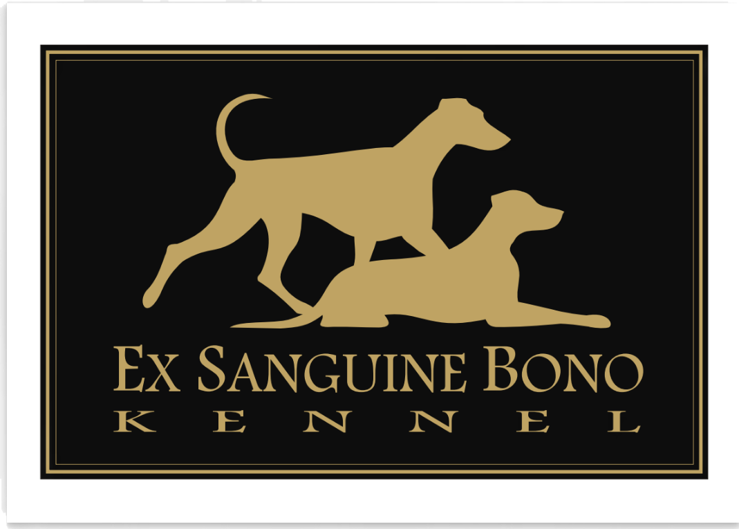 Doberman puppies with FCI pedigree