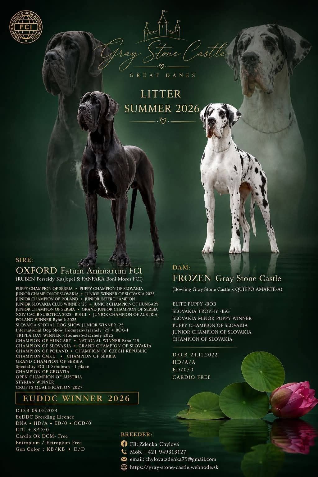 Deutsche Dogge mit Stammbaum