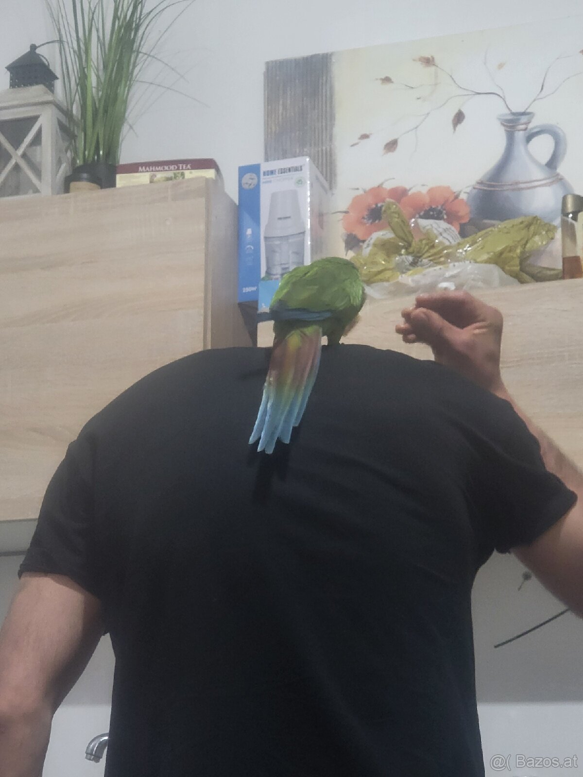 Mini ara