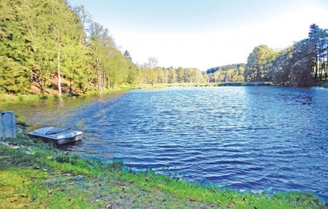Charmante Mühle mit Teich,Wald,5 Wohnungen zu vermiete - 10