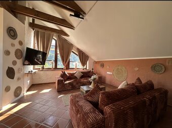 Luxus-Penthouse über der Donau - 10