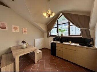 Luxus-Penthouse über der Donau - 11
