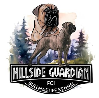 Bullmastiff welpe - 11