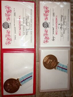 Sammlung von Medaillen der ČSSR – Feld- und Hallenhockey - 11