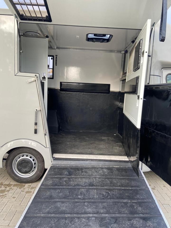 Pferdetransporter an: Renault Master - 12