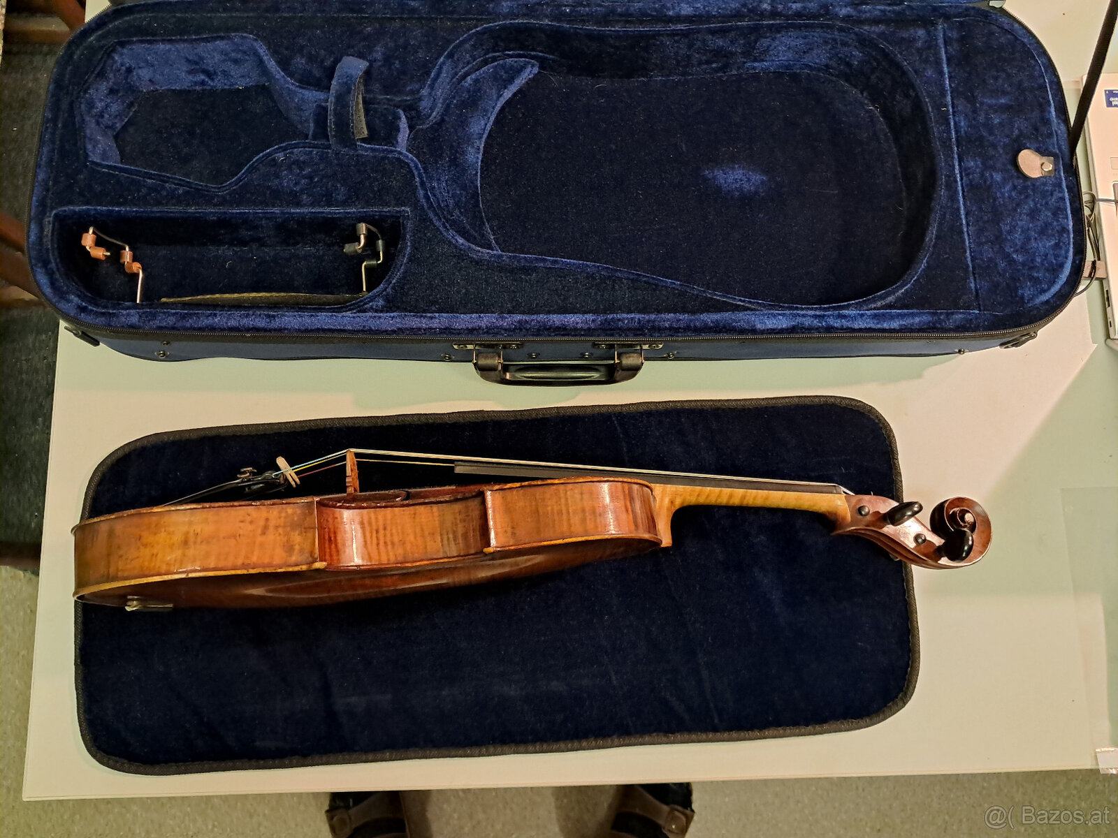 Viola, jahr 1780 - 12