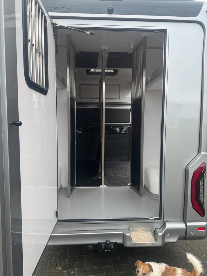 Pferdetransporter Renault Master Haras ATM 1-2 Pferde 150 PS - 13