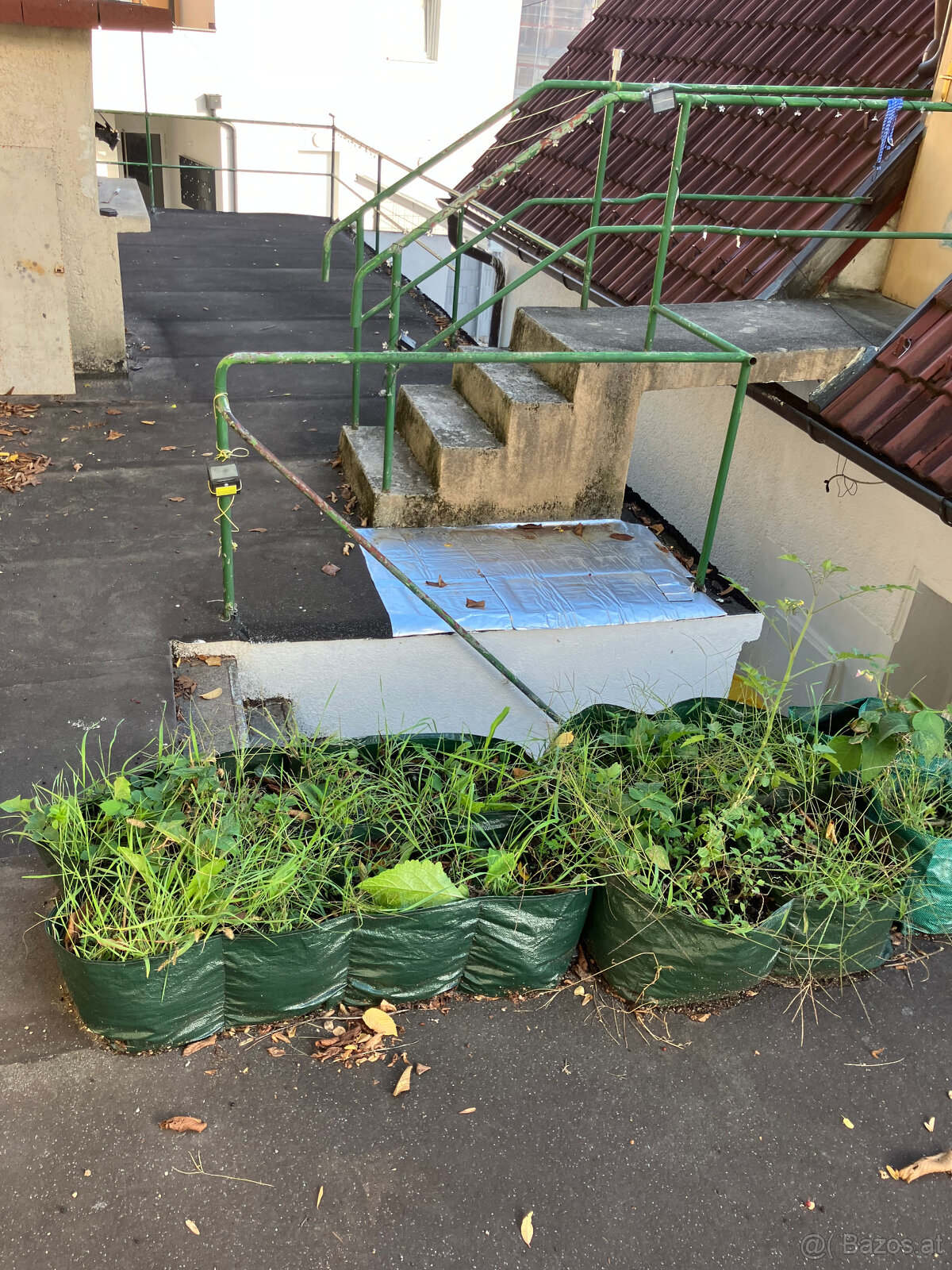 alle in Gloggnitz - 13