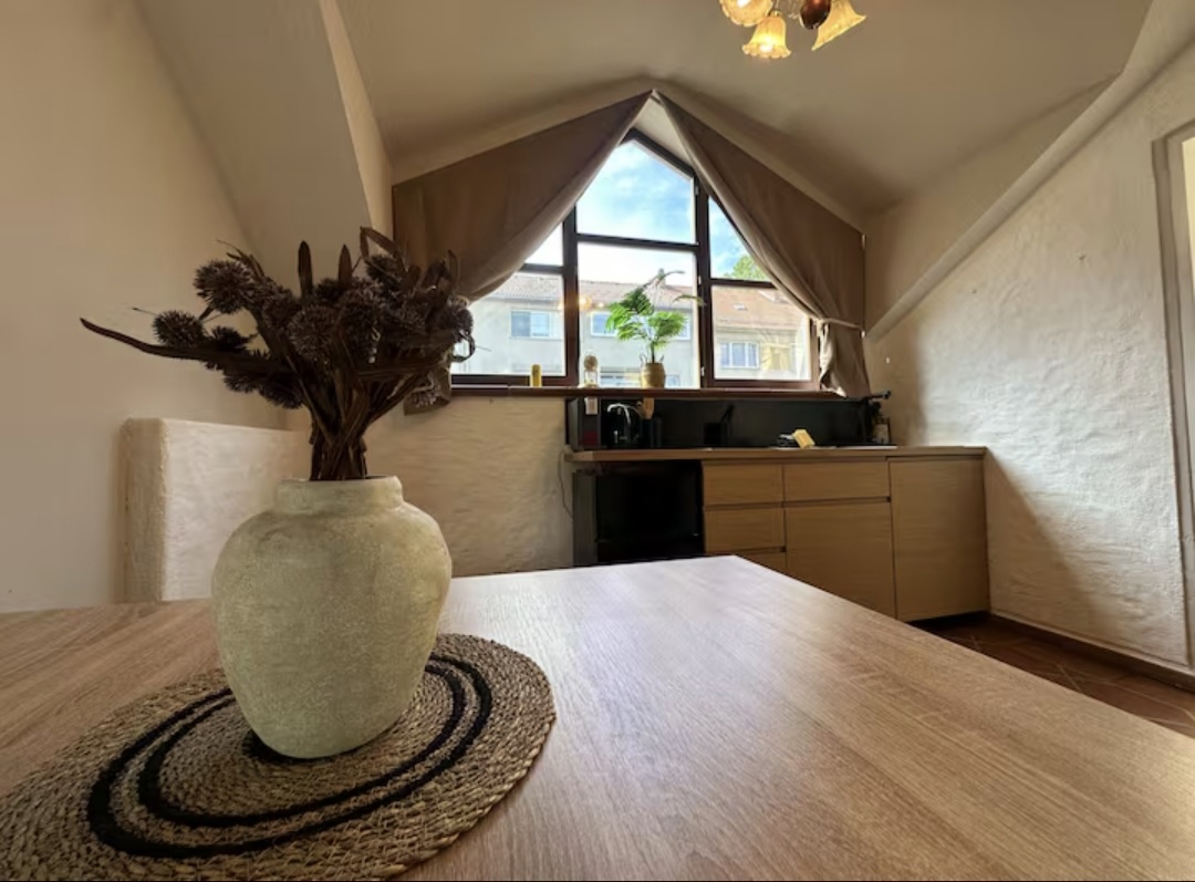 Luxus-Penthouse über der Donau - 14