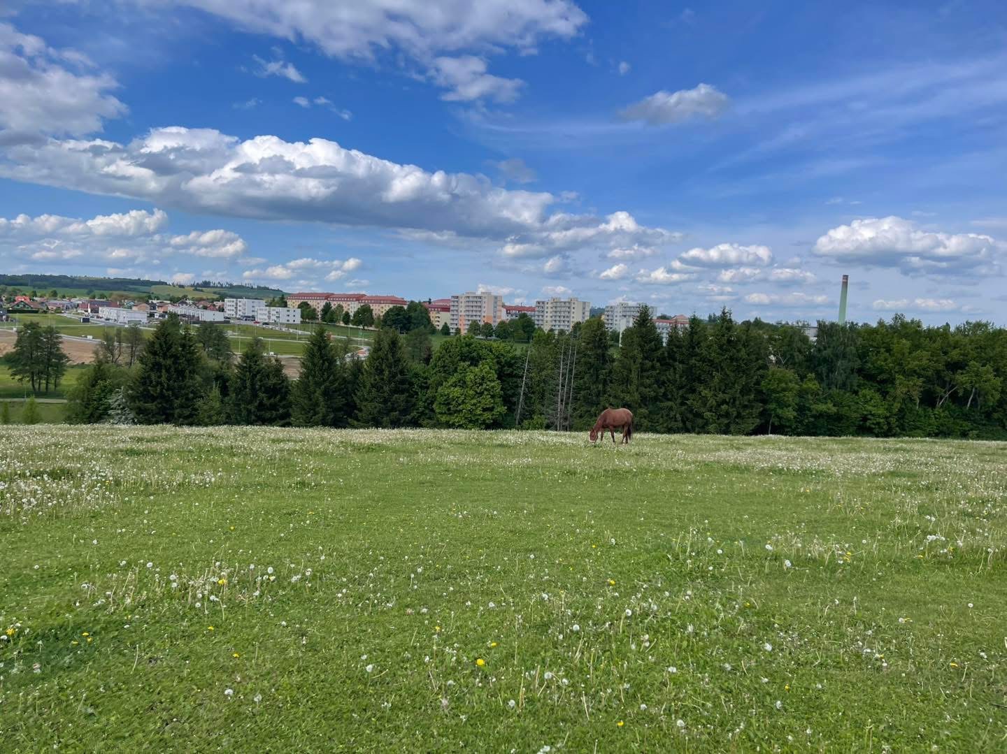 Fohlenstall – Bystřice nad Pernštejnem, 40 km von Brünn - 15