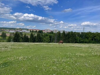 Fohlenstall – Bystřice nad Pernštejnem, 40 km von Brünn - 15
