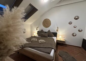 Luxus-Penthouse über der Donau - 15