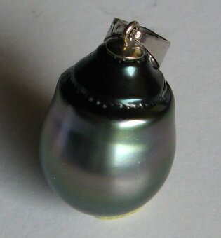 Muschelverkaufsausstellung 28. 3. BRNO - 15