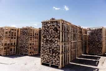 25,33,50 Brennholz,halb-/trocken Buche, Eiche Kiste 1,95 - 15