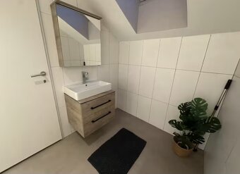 Luxus-Penthouse über der Donau - 17
