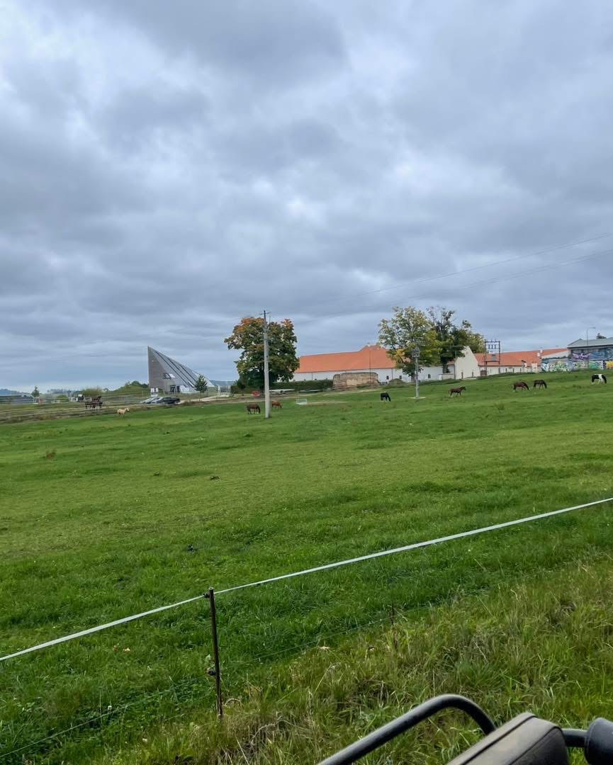 Fohlenstall – Bystřice nad Pernštejnem, 40 km von Brünn - 18