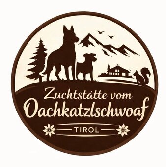 Jack Russell Terrier Welpen gew.13.04.2026 - 19