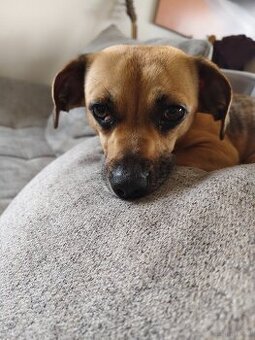 Mia