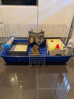 Hasen Hase Zwergkaninchen mit Käfig Kaninchen Zubehör