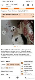 KATER FREUNDE AUFGEPASST - 1