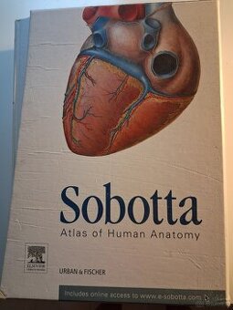 Anatomischer Atlas