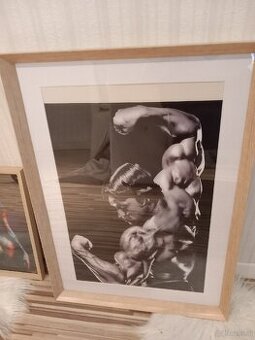Bilder