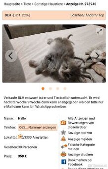 ❗️❗️Vorsicht psychopathische Frau❗️❗️
