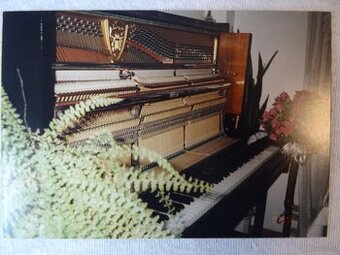 Klavier - Pianino