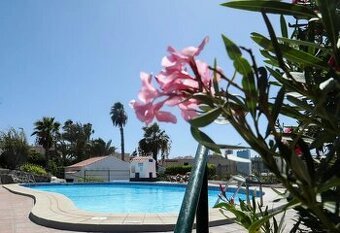 Bungalow mit Meerblick in Arguineguín - GRAN CANARIA
