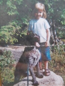 SUCHE DEUTSCH DRAHTHAAR RÜDEN