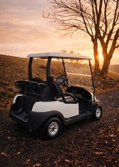 Elektrischer Golfwagen