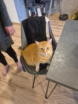 Kater