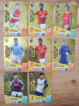 Premier League 2025 Fußballkarten Panini Adrenalyn.