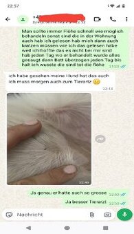 Achtung vermehrer