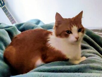 Angel sucht ein nettes zuhause