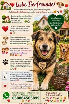 Suche ein Familienmitglied - 1