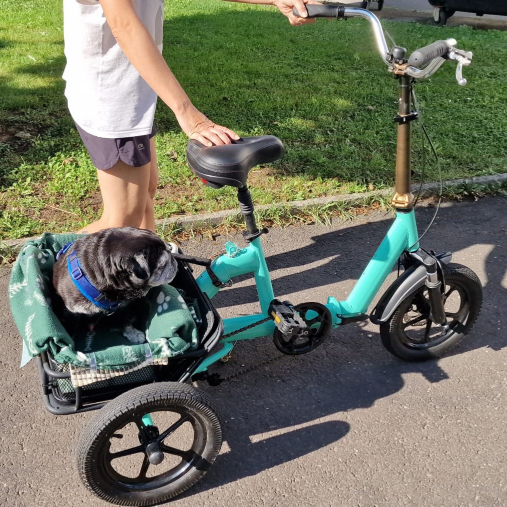 Hundefahrrad -faltbar (14 Zoll) - 2