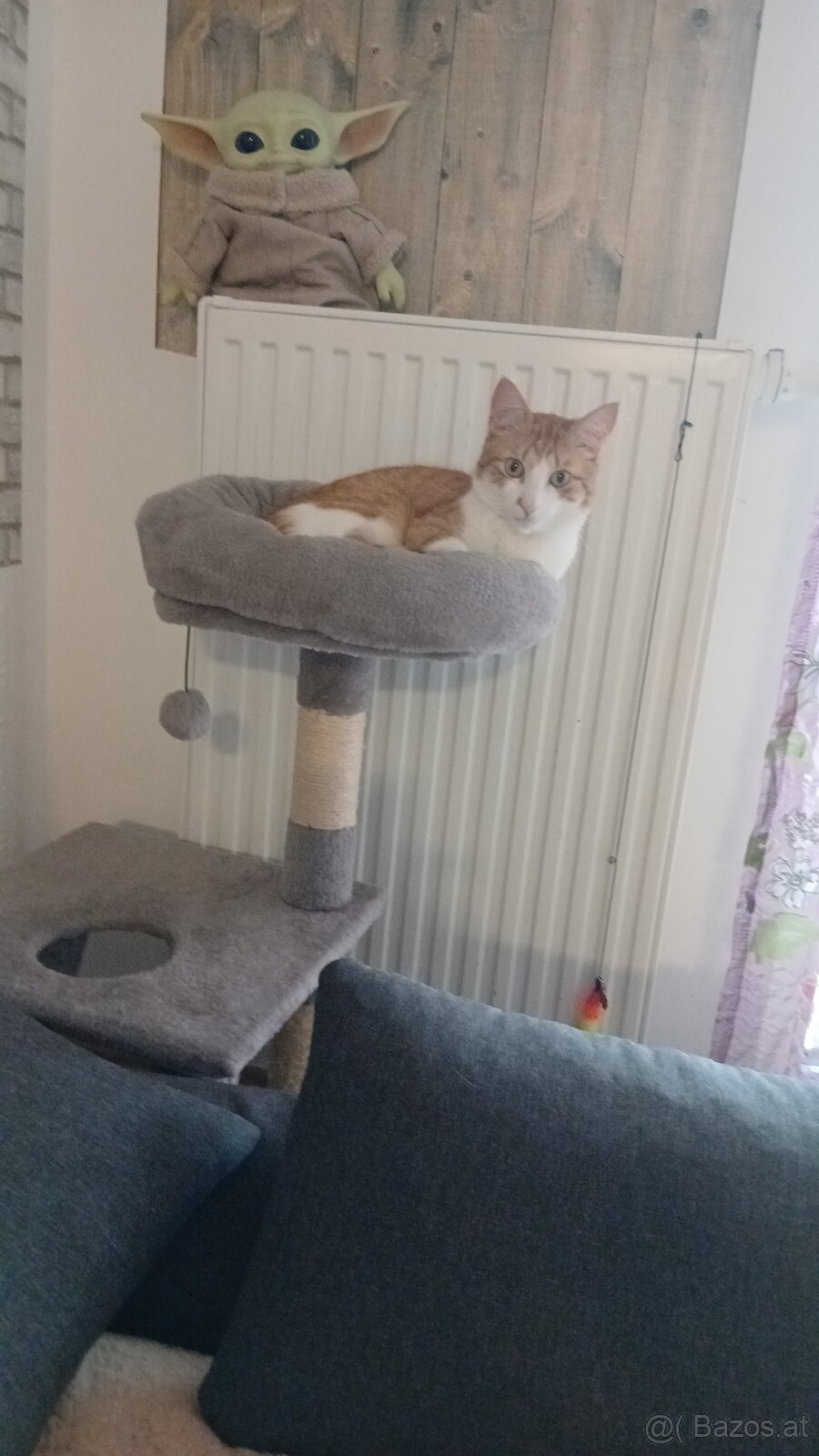 Kater - 2