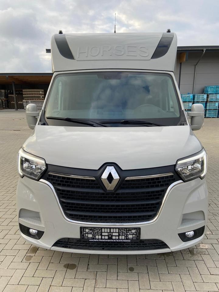 Pferdetransporter an: Renault Master - 2