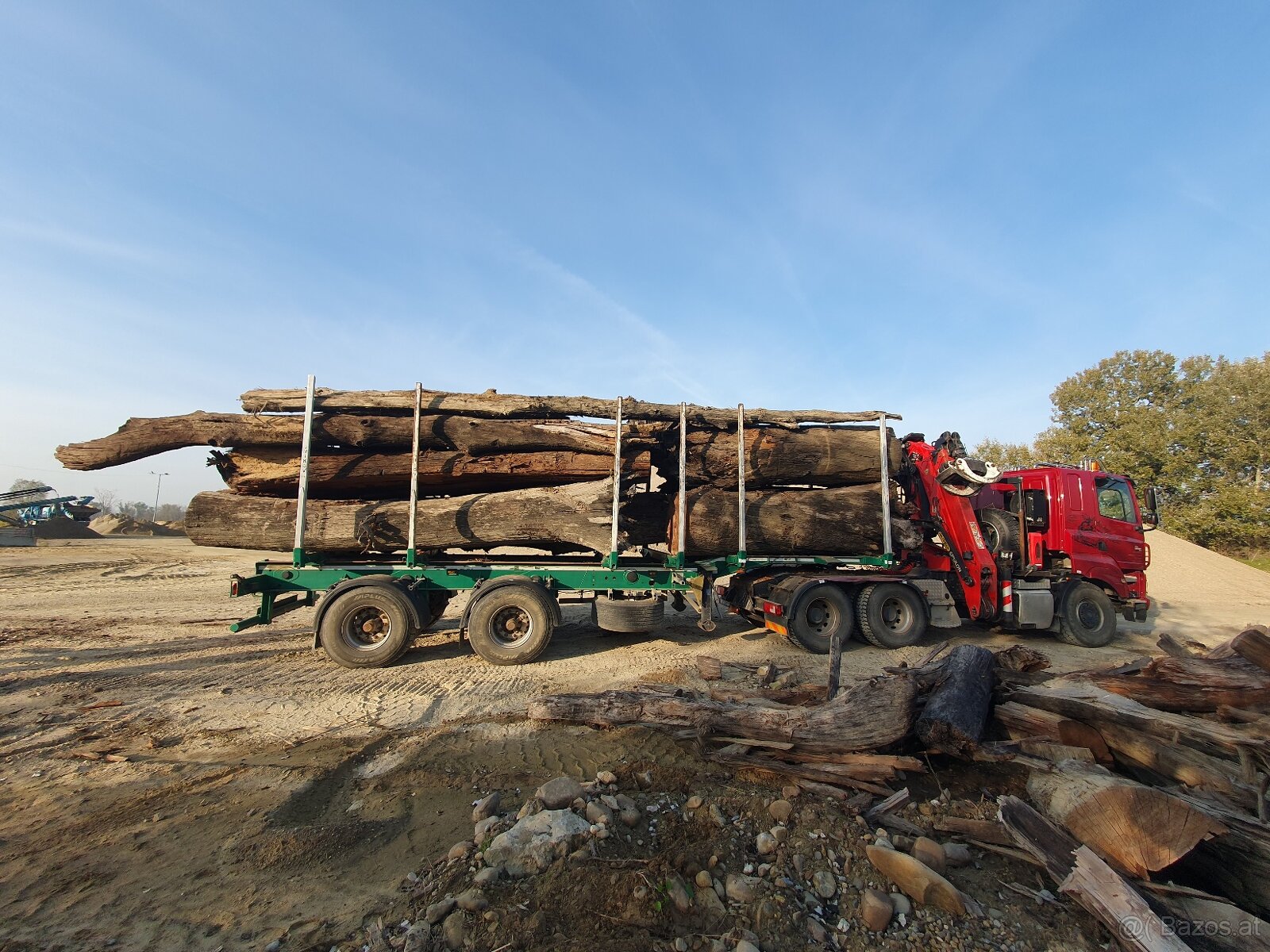 Subfossile Eichenstämme - Mooreiche - 2