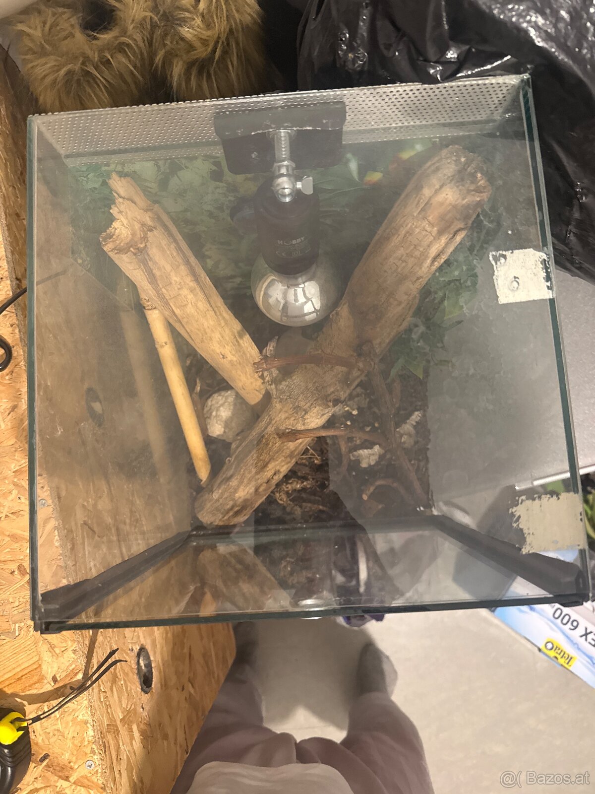 Kleine Terrarium - 2