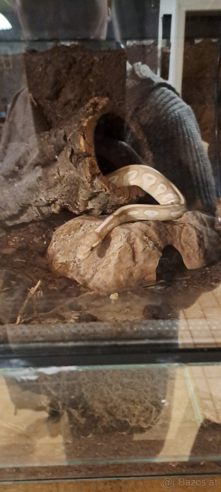 Terrarium inkl. viel Technik - 2