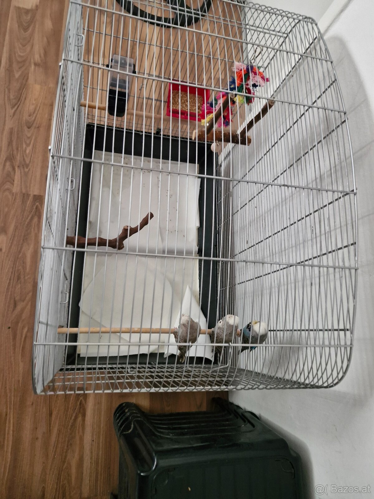 Vogelkäfig - 2