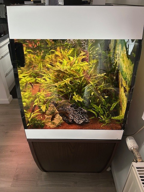Aquarium Eheim Scubaby 270 Liter - 2