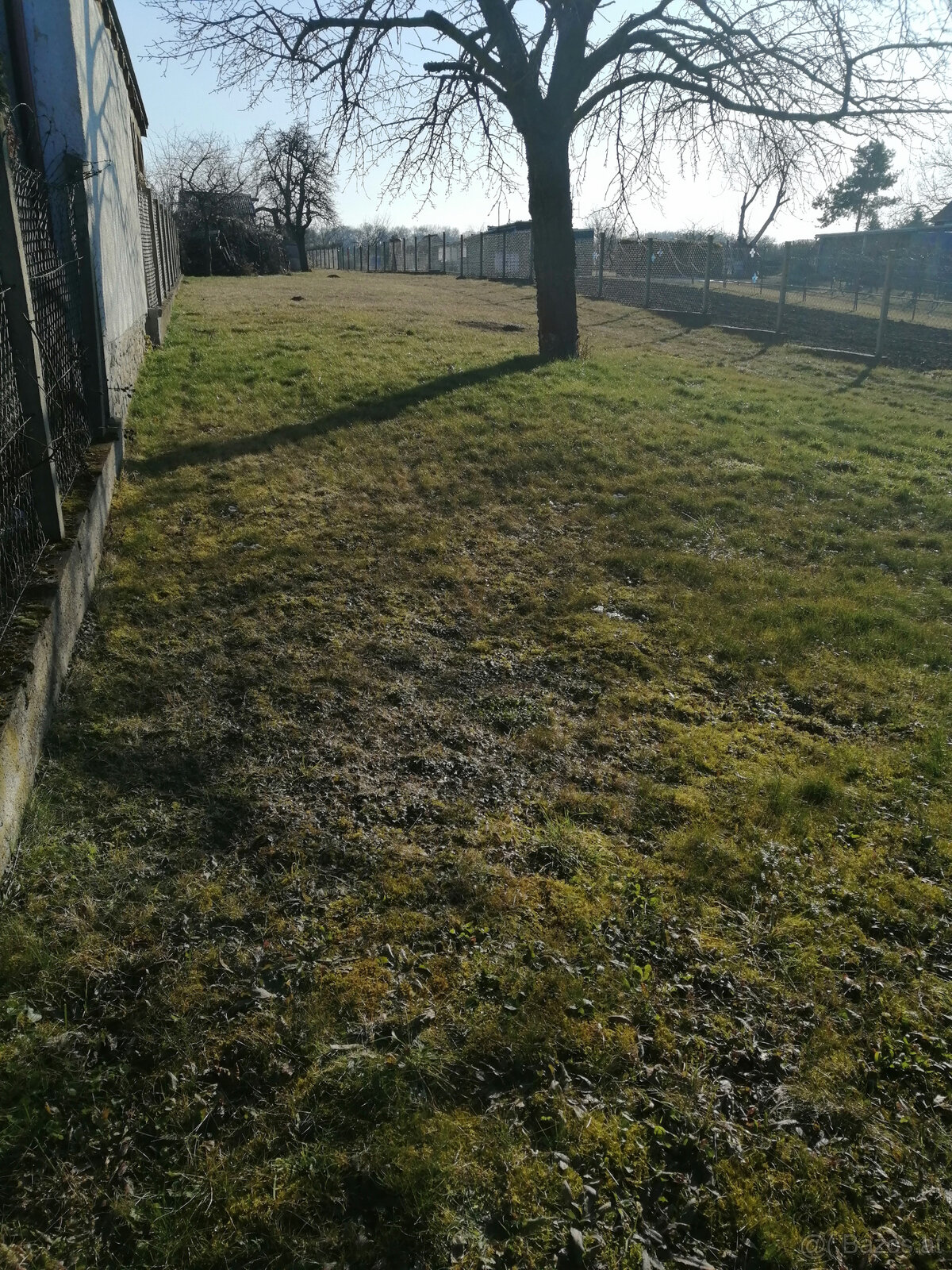 Ich verkaufe einen Garten - 2