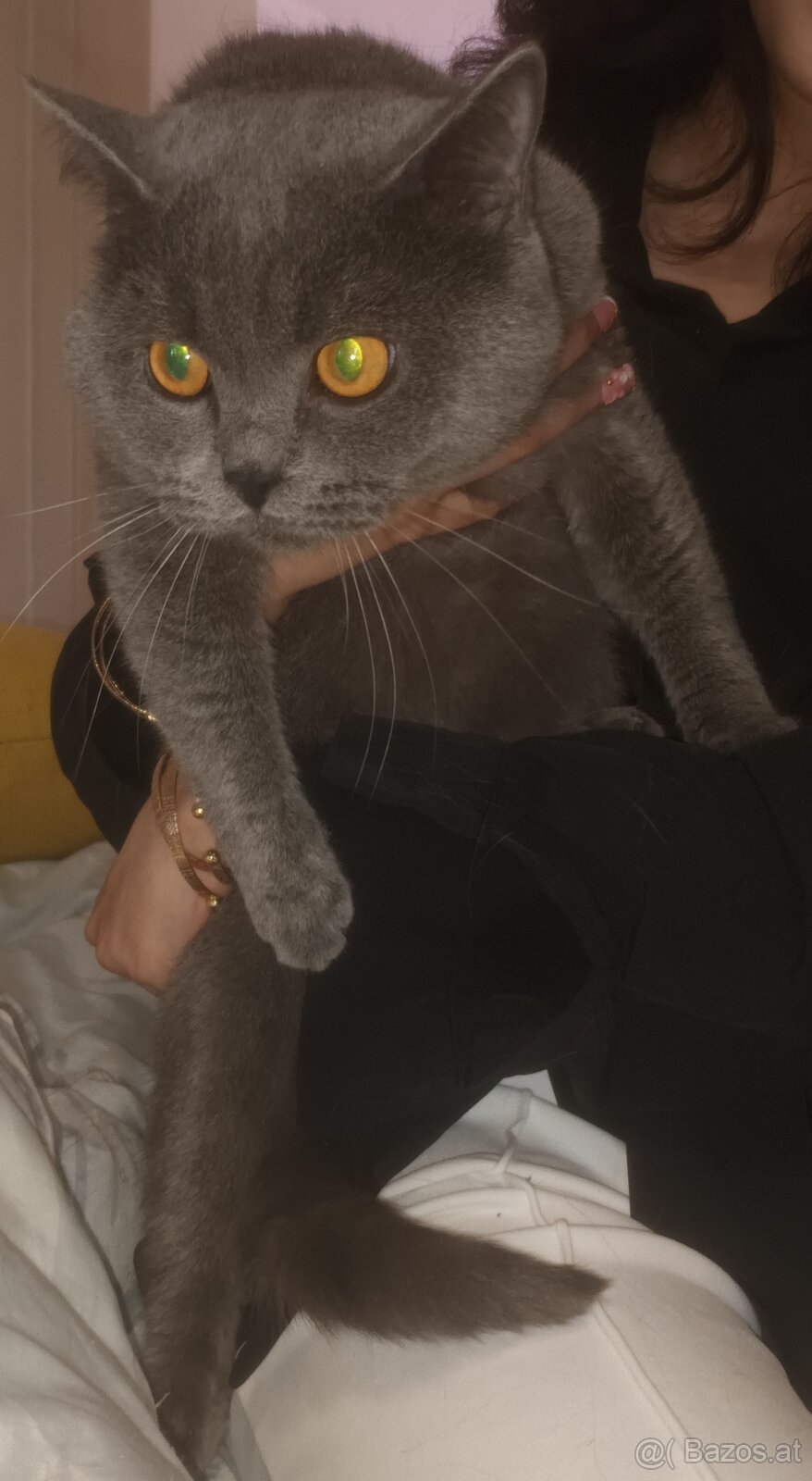 Kater - 2