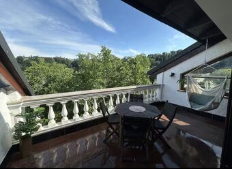 Luxus-Penthouse über der Donau - 20