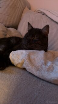 Deck Kater - 2
