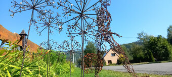 Löwenzahn - 2
